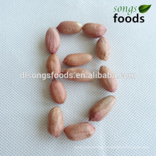 High protein groundnuts importer